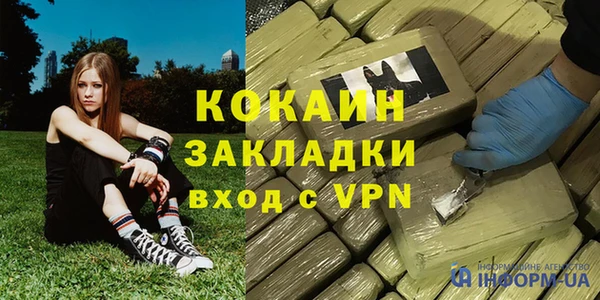 шишки Аркадак
