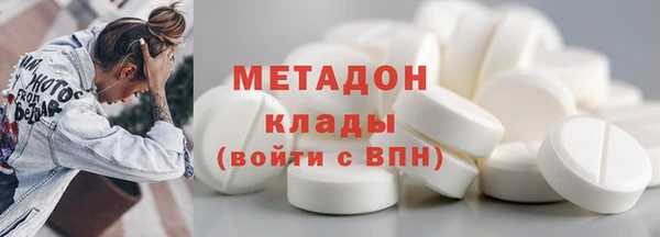 шишки Аркадак