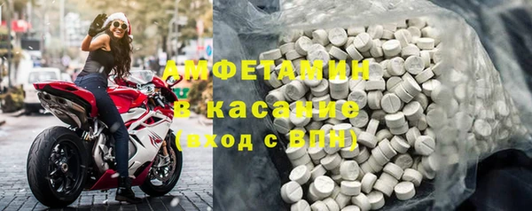 шишки Аркадак