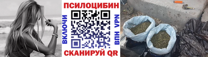 Псилоцибиновые грибы MAGIC MUSHROOMS  Теберда 